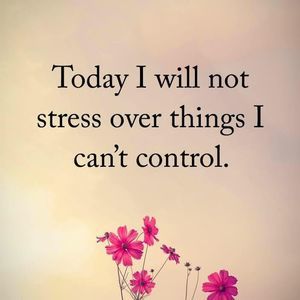 Meet your Posher, Suzanne